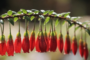 深圳福田区1私人快速借钱网，轻松解决资金难题