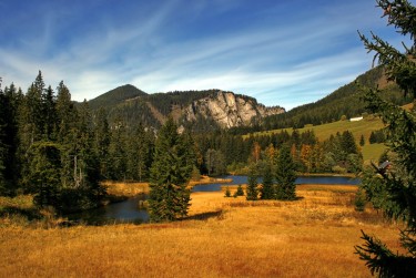 深圳福田区1民间私贷攻略：揭秘低成本借贷的秘密