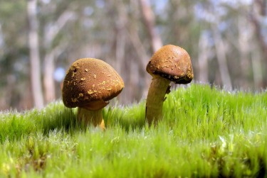 深圳福田区1私人老板放款：轻松融资的秘密通道